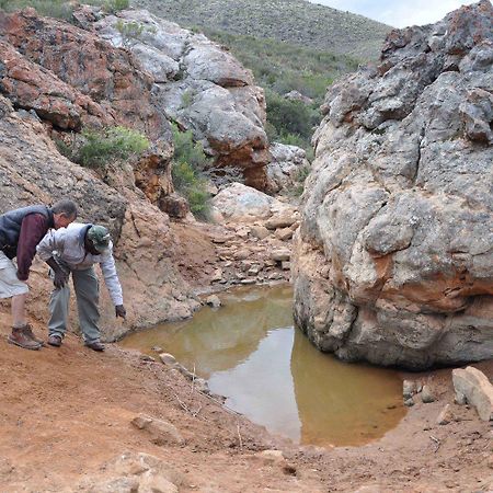 African Game Lodge Montagu Εξωτερικό φωτογραφία