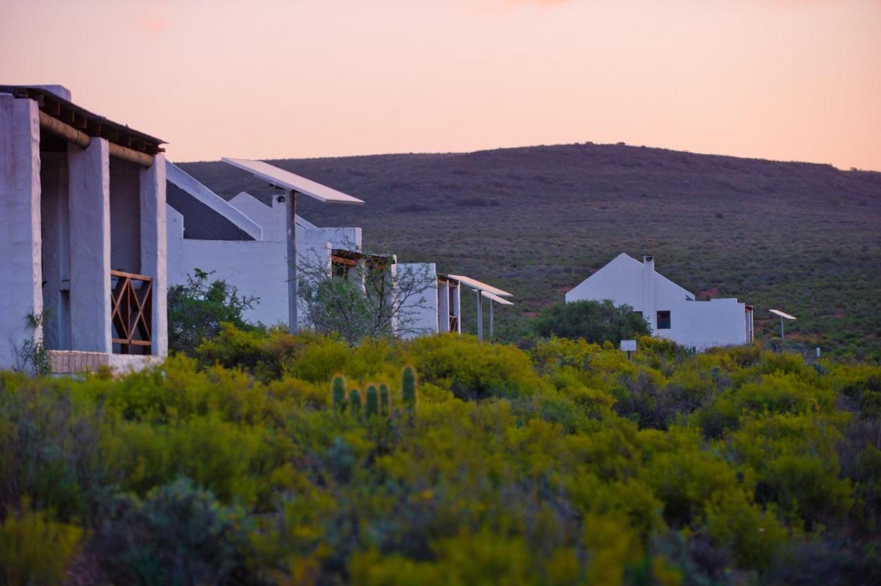 African Game Lodge Montagu Εξωτερικό φωτογραφία