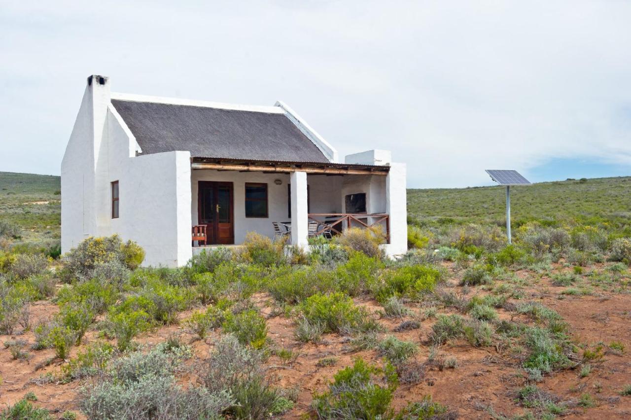 African Game Lodge Montagu Εξωτερικό φωτογραφία