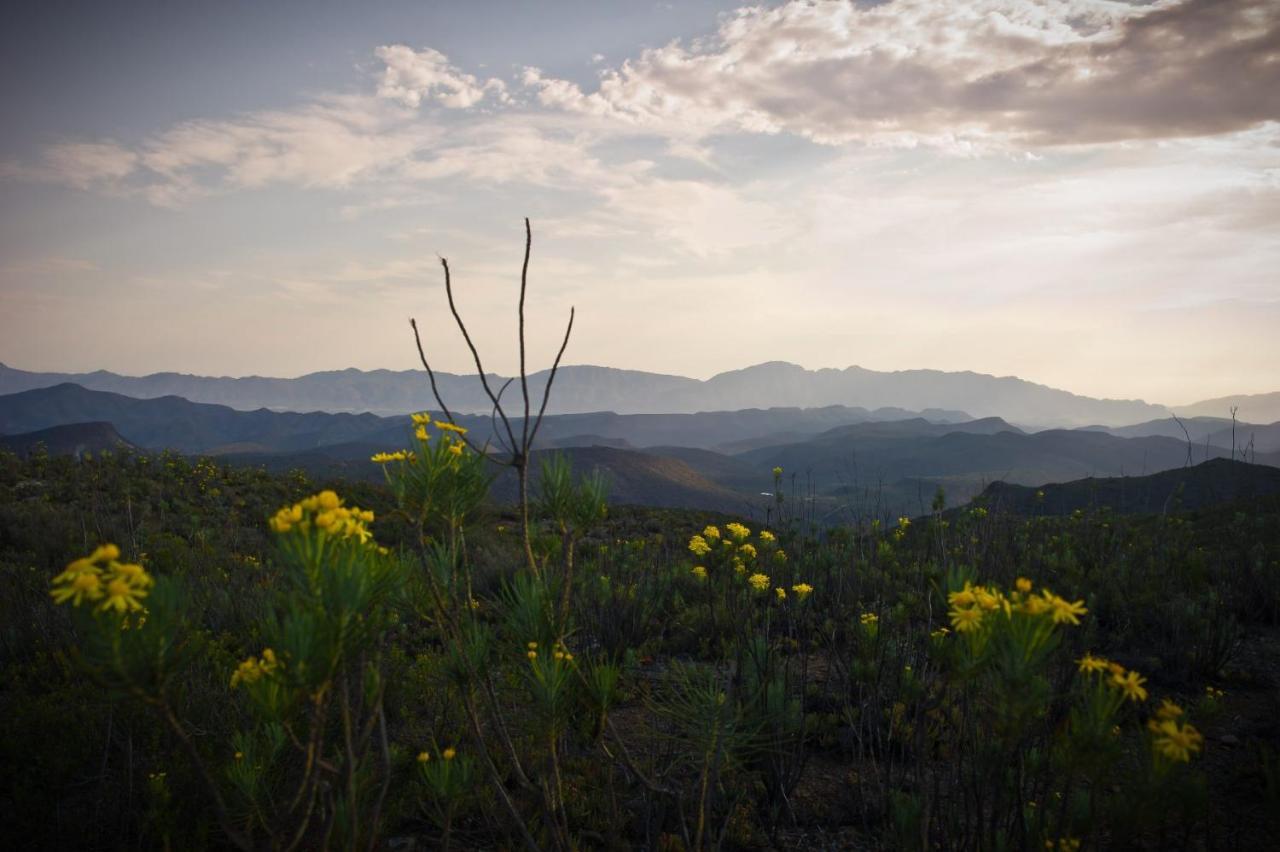 African Game Lodge Montagu Εξωτερικό φωτογραφία