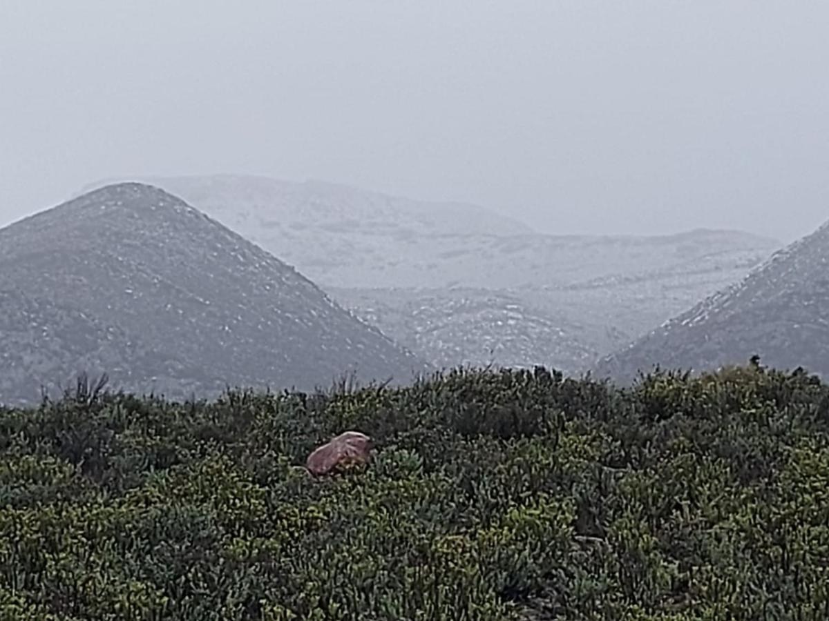 African Game Lodge Montagu Εξωτερικό φωτογραφία