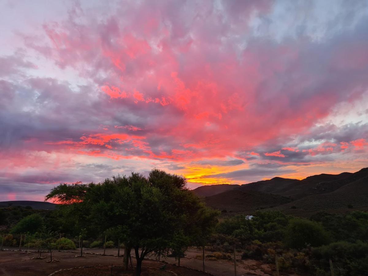 African Game Lodge Montagu Εξωτερικό φωτογραφία