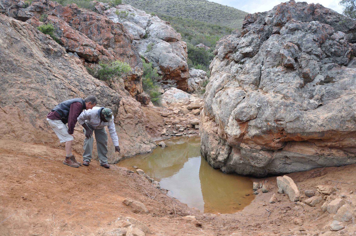 African Game Lodge Montagu Εξωτερικό φωτογραφία