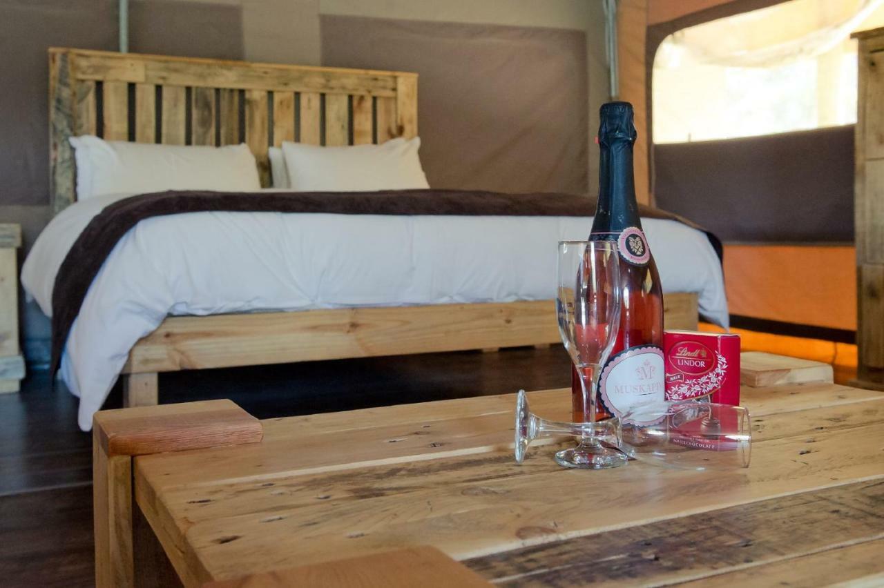 African Game Lodge Montagu Εξωτερικό φωτογραφία